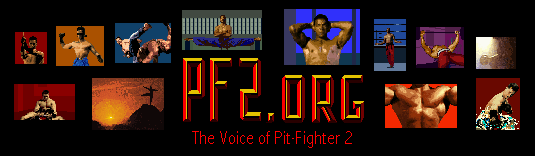 Pit-Fighter 2