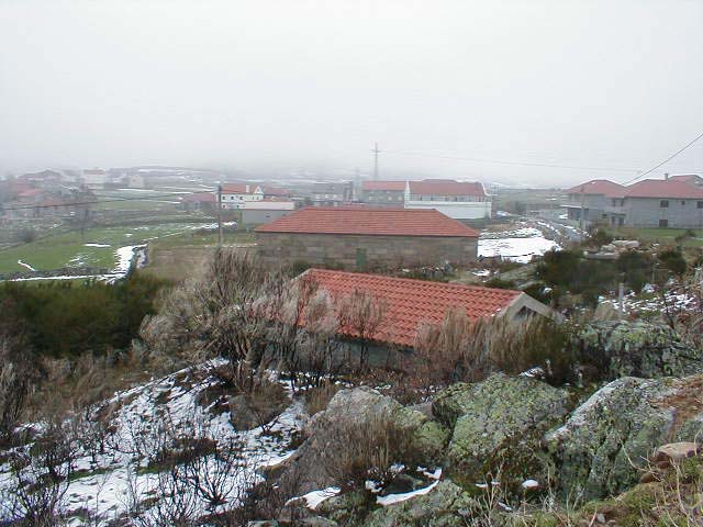 P1010023