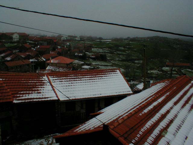 P1010027