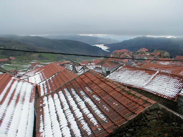 P1010028