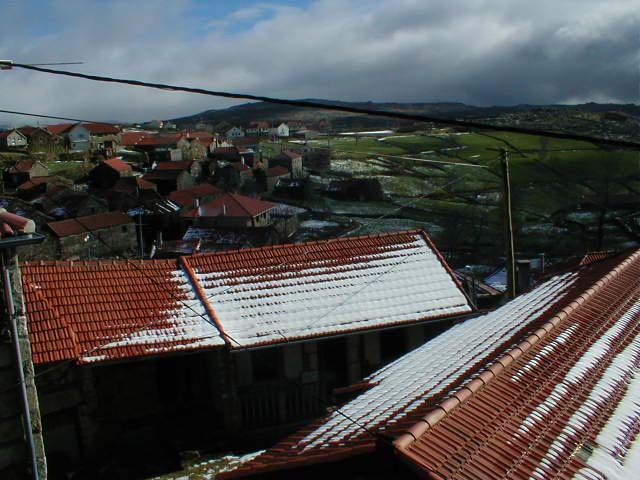 P1010029