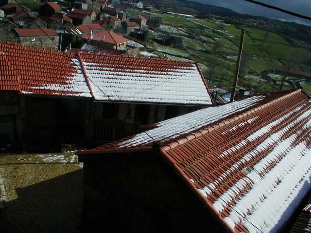 P1010033
