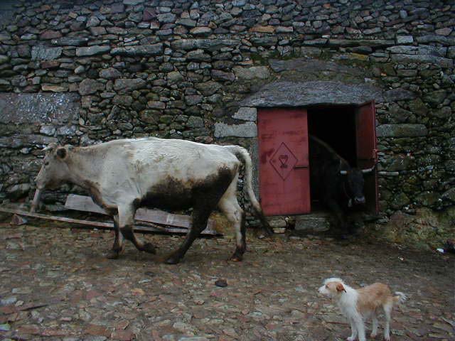 P1010046