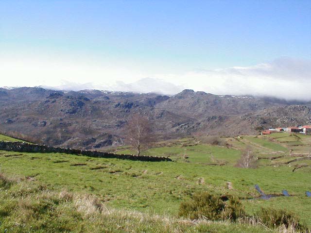 P1010052