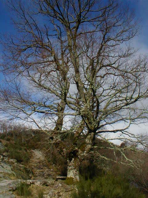 P1010072