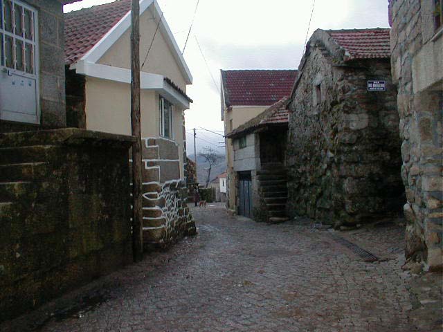 P1010083