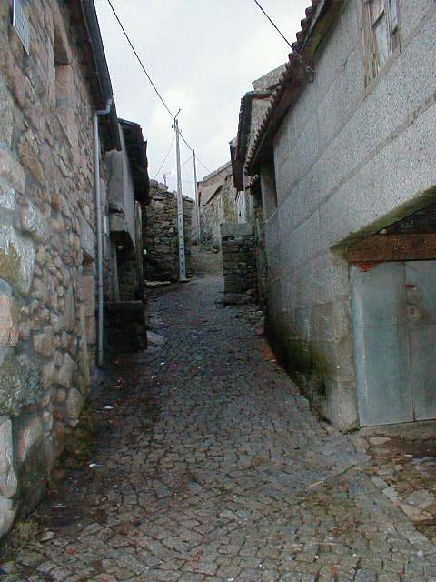 P1010084