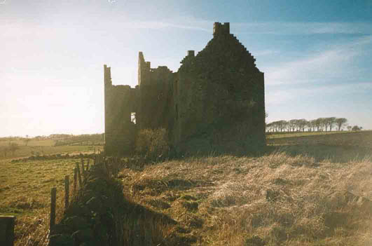 view east