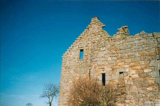 west view detail