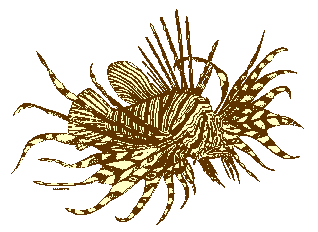 lionfish