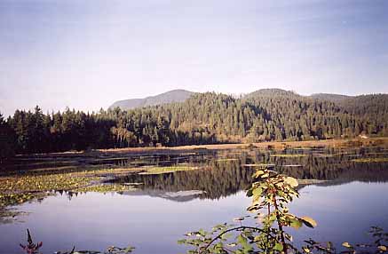 Blaney Creek Wetlands image