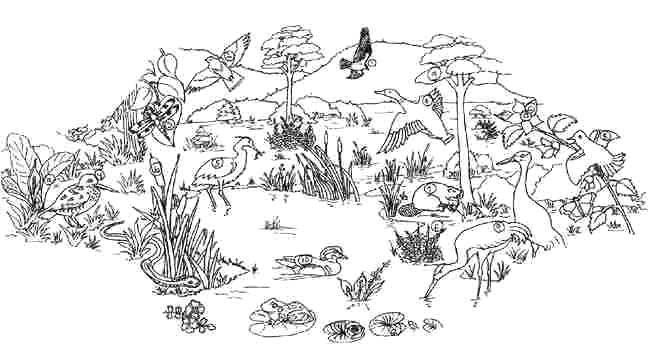 Click here to download the full-size version