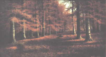 autumn scene