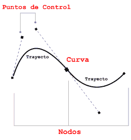 Partes de una curva