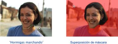 Visualizar máscaras