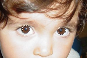 seleccion de pupilas