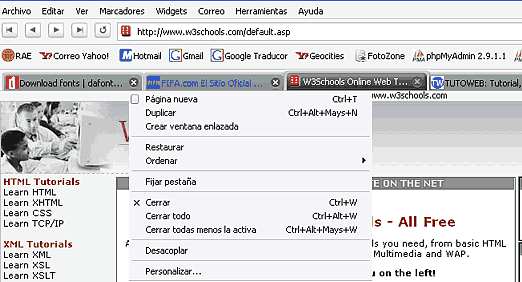 Navegando con Pesta&ntilde;as