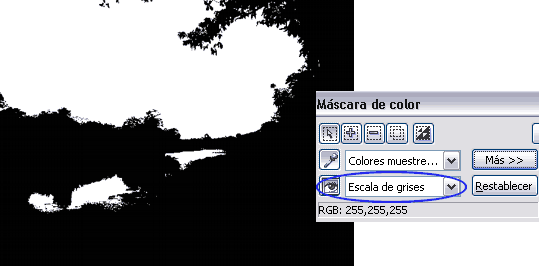Previsualización de máscara