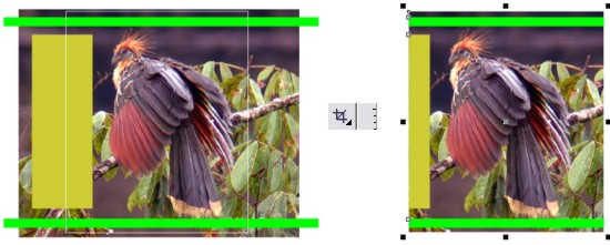 Herramienta Recortar