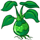Exotic Plant