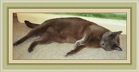zzzzzzzzzzzzzz....