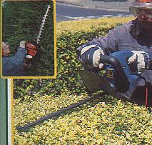 Hedge Trimmers. Petrol & Electric