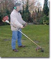 Petrol Strimmer