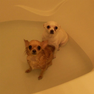 Dottie and Nettie