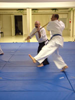 Jo Nage