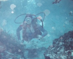 Steve at Ginnie