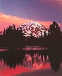 Mt Rainier Tips