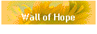 Wall of Hope