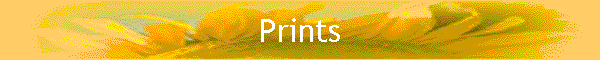 Prints