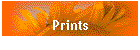 Prints