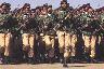 Ssg_i.jpg (2960 bytes)