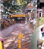 Mata Ragina Bagwati Tulmul Kashmir