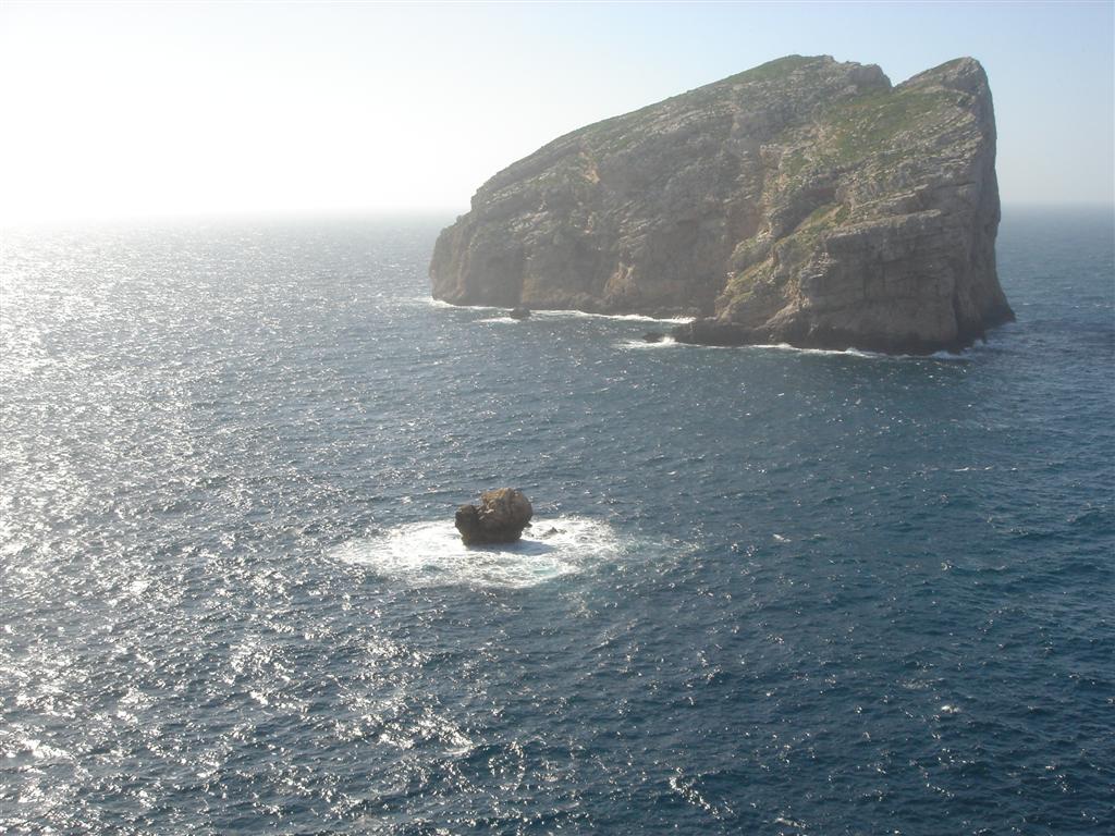 rocks in the sea
