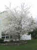 106-0689_IMG.JPG (273271 bytes)