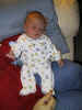 100-0062_IMG.JPG (169875 bytes)
