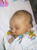 100-0053_IMG.JPG (64492 bytes)