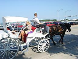 the neighbors (and their ride)
