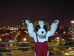 d-dog with downtown behind him