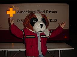 disaster dog wanna-be