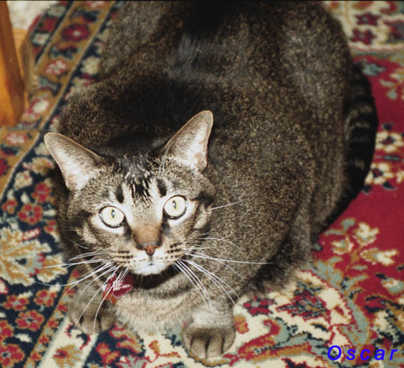 Oscar