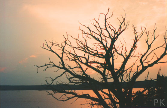 Possum Kingdom Lake, Texas&nbsp; 1999