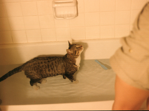 Reidar loved water
