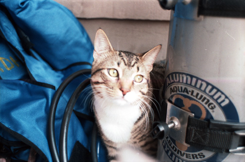 Reidar and SCUBA gear