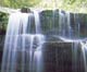 phu_la_au_fall