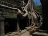 taprohm