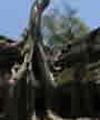 taprohm